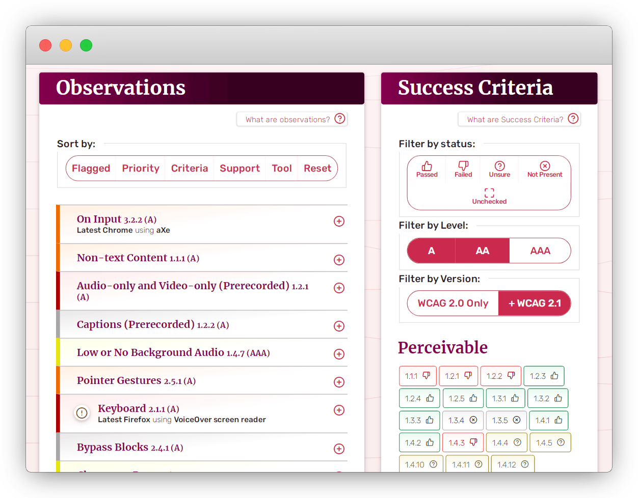 Screenshot of the audit interface, observations on the left and success criteria results on the right.